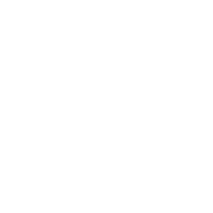 Norcross Athletics